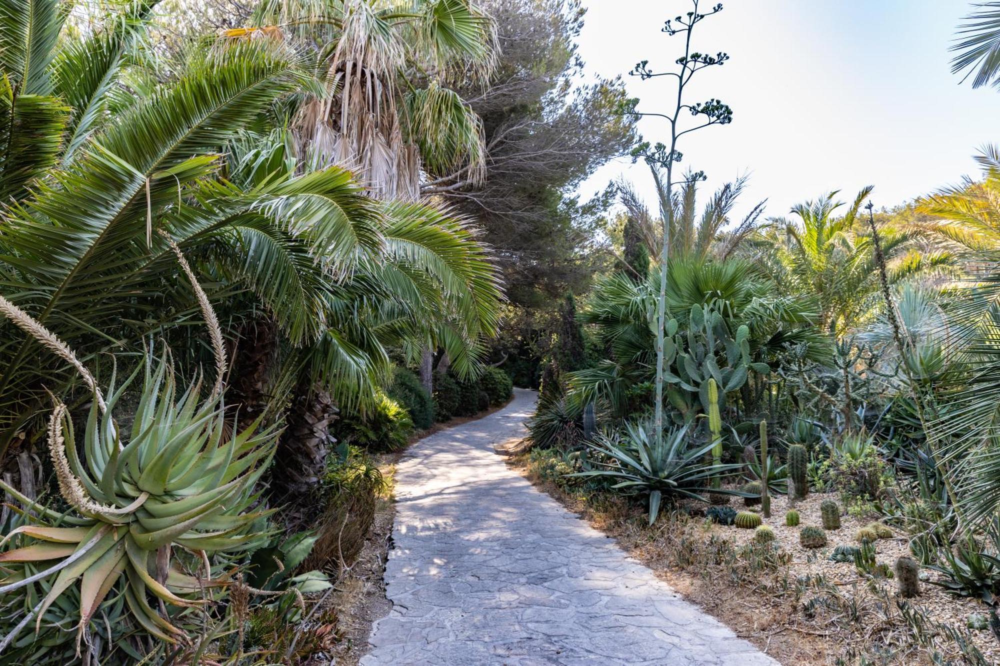 Hippocampe Sanary-sur-Mer