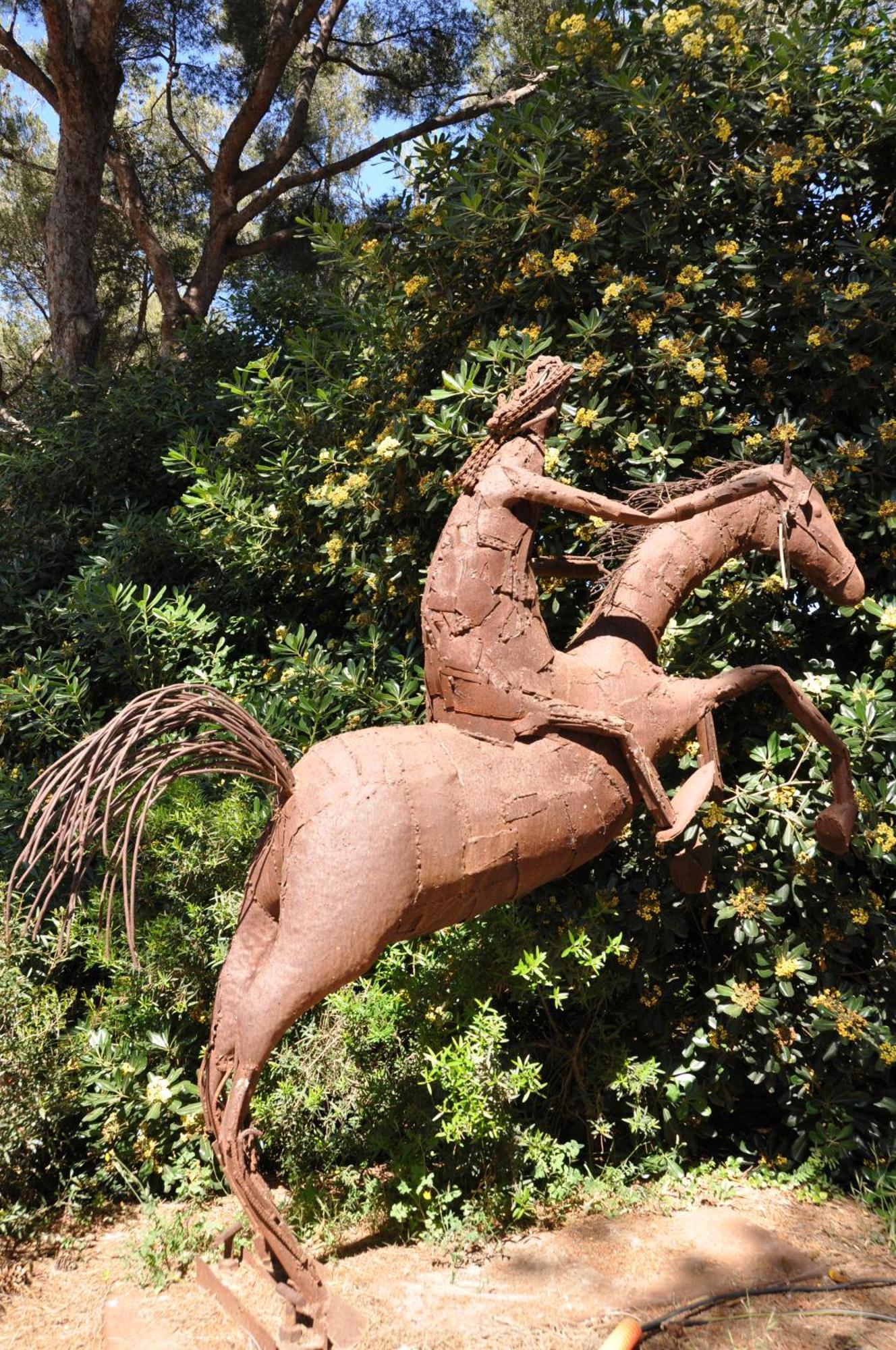 Hippocampe *