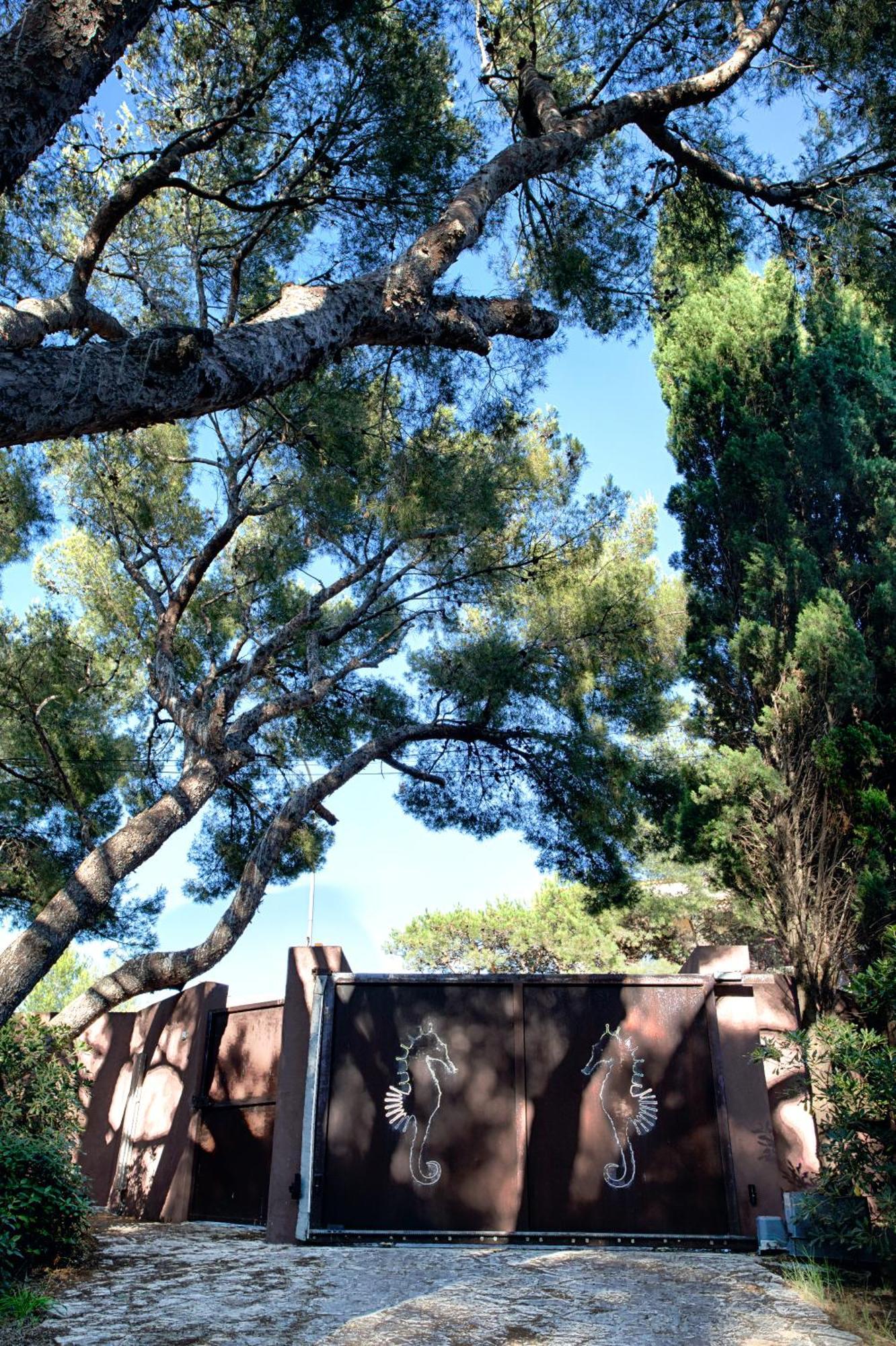 Hippocampe Sanary-sur-Mer